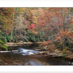 AD0500: Autumn foliage along the Chattooga National Wild and Sce