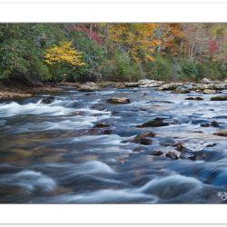 AD0518: Chattooga National Wild and Scenic River, Sumter Nationa