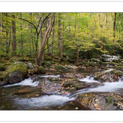 AD0285: Big Creek, Great Smoky Mountains National Park, TN, Autu