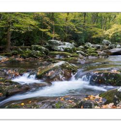 AD0286: Big Creek, Great Smoky Mountains National Park, TN, Autu