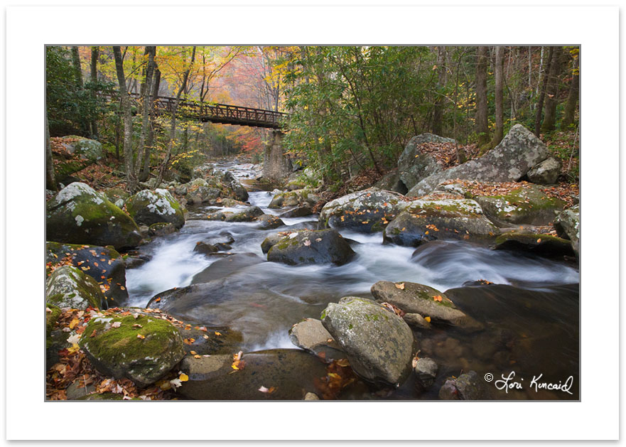 AD0377: Foot bridge over Lynn Camp Prong, Great Smoky Mountains