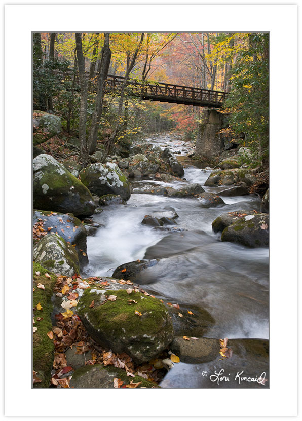 AD0378: Foot bridge over Lynn Camp Prong, Great Smoky Mountains
