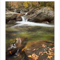 AD0685: Cosby Creek, Great Smoky Mountains National Park, TN, Au