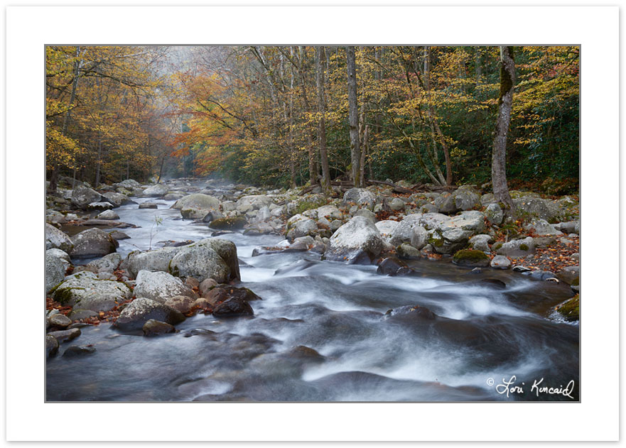AD0692: Big Creek, Great Smoky Mountains National Park, TN, Autu
