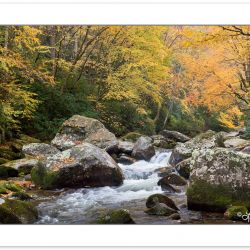 AD0711: Big Creek, Great Smoky Mountains National Park, TN