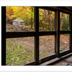 AD0774: View of barn from cabin window, Noah "Bud" Ogle Place, G