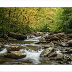 AD0824: Walker Camp Prong, Great Smoky Mountains National Park,