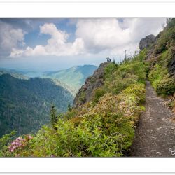 RD0154: Hikers on Charlie's Bunion, Great Smoky Mountains Nation