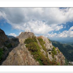 SD0128: Hikers on Charlie's Bunion, Great Smoky Mountains Nation