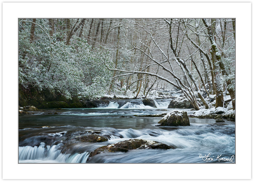 WD0363: Middle Prong Little River in winter, Great Smoky Mountai