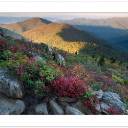 View from the Pinnacle near the Blue Ridge Parkway, NC, Autumn