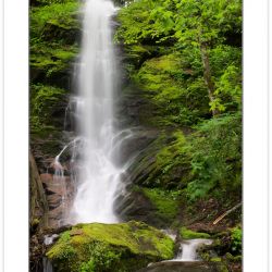 SD0220: Waterfall on Little Fall Branch, Pisgah National Forest,