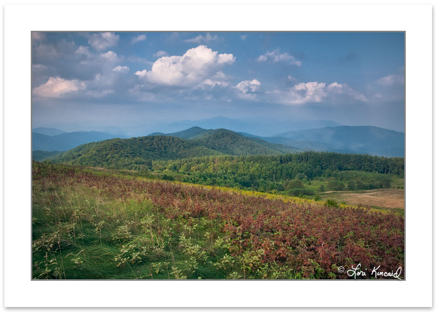 SD0415: Max Patch Bald, Pisgah National Forest, NC, September
