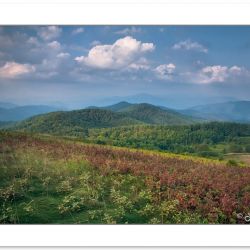 SD0415: Max Patch Bald, Pisgah National Forest, NC, September
