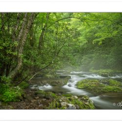 Mist rising off the Oconaluftee River, Great Smoky Mountains Nat
