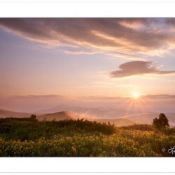 Sunrise view from Black Balsam Knob, Pisgah National Forest, NC,