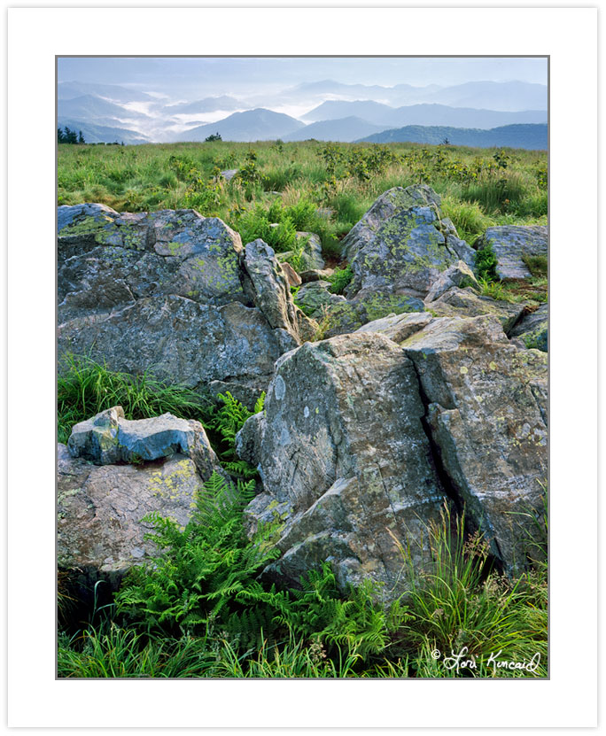 SL0242: Rock outcrop on Round Bald, Roan Highlands, Tennessee-No
