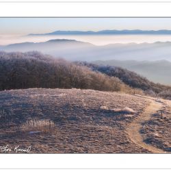 WD0258: Appalachian Trail at Max Patch, Pisgah National Forest,
