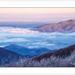 WD0285: View from Max Patch in Pisgah National Forest into Tenne
