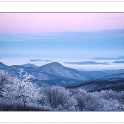 WD0287: Winter view at dawn from Max Patch Mountain, Pisgah Nati