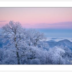 WD0290: Winter view at dawn from Max Patch Mountain, Pisgah Nati