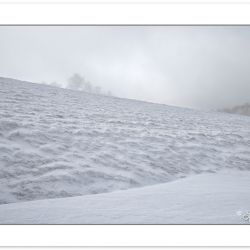 WD0386: Max Patch, Pisgah National Forest, NC, winter
