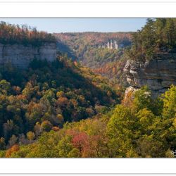 Pogue Creek State Natural Area, Tennessee, Autumn