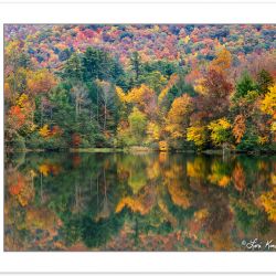 AL0192: Autumn foliage reflected on Boundary Lake, Cherokee Nati