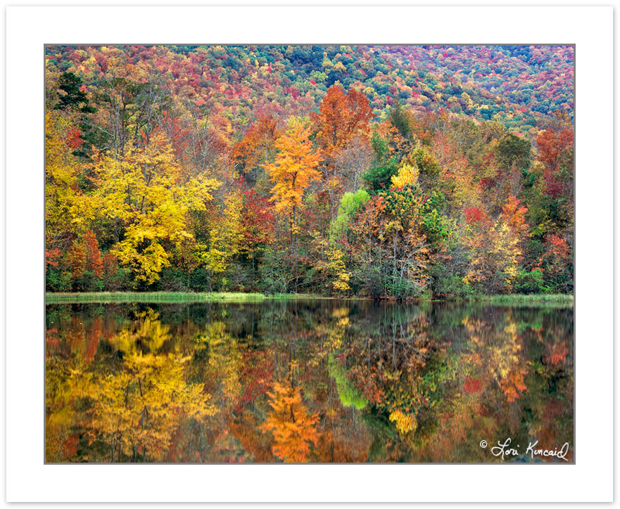 AL0196: Autumn foliage reflected on Boundary Lake, Cherokee Nati