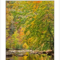 AL0257: Citico Creek, Cherokee National Forest, TN, Autumn